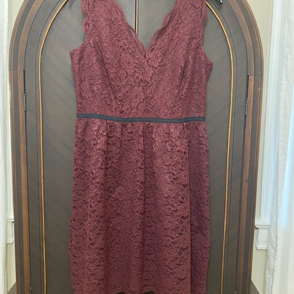 Loft Burgandy Lace Dress